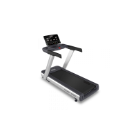 Электрическая беговая дорожка Bronze Gym T930M Pro