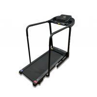 Электрическая беговая дорожка  DFC Cynos T175