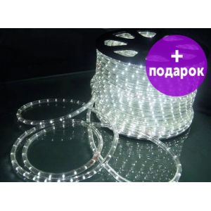 Дюралайт светодиодный LED 2W-1M-220V белый холодный /1М