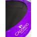 Батут Calviano Inside Master Purple 374 см - 12ft (внутренняя сетка, с лестницей)