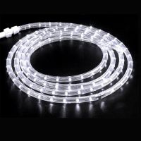 Дюралайт Neo-Neon 245-119 36 LED (мульти)