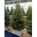 Ель искусственная GreenTerra Этуаль 2.7 м