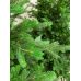 Ель искусственная GreenTerra Хаген Премиум 2.4 м