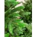Ель искусственная GreenTerra Хаген Премиум 2.4 м