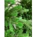 Ель искусственная GreenTerra Хаген Премиум 2.4 м