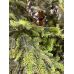 Ель искусственная GreenTerra Олбери 2.4 м