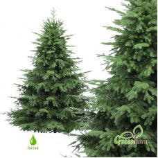 Ель искусственная GreenTerra Раскидистая Премиум 1.8 м