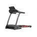 Электрическая беговая дорожка Carbon Fitness Track9