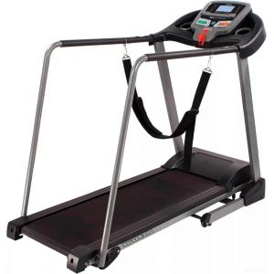 Электрическая беговая дорожка DFC Walker Evo / T-S1