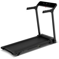 Электрическая беговая дорожка Family TM 352M