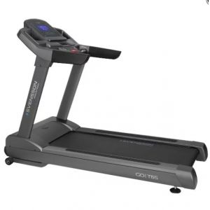 Электрическая беговая дорожка Svensson Industrial GO T65