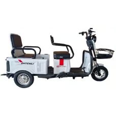 Электрический трицикл 2в1 Shtenli Model 34 SLA 60V/20а