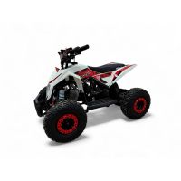 Электроквадроцикл MOTAX GEKKON 1300W Красный