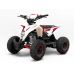 Электроквадроцикл MOTAX GEKKON 1300W Красный