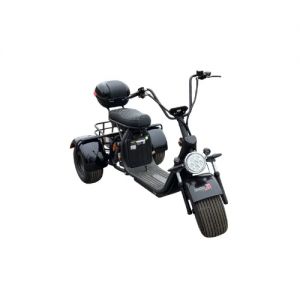 Электроскутер TERAX CityTrike X12 (Х2)