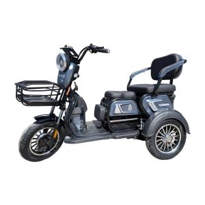 Электротрицикл Smart8 BULBASH серый