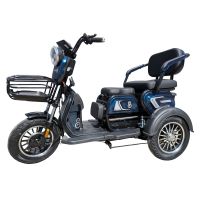 Электротрицикл Smart8 BULBASH синий