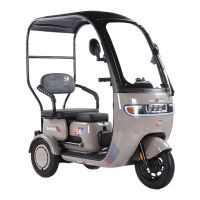 Электротрицикл SmartBalance Venture (с крышей)
