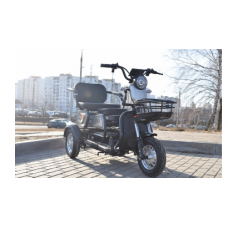 Электротрицикл Terax APKI NS003 (черный)