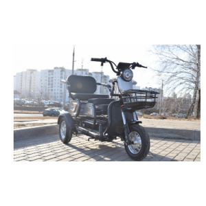 Электротрицикл Terax APKI NS003 (черный)