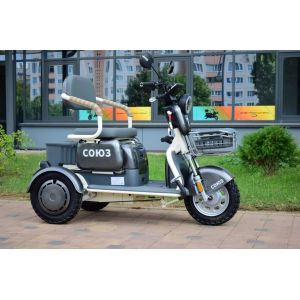 Электротрицикл Terax СОЮЗ NS-X3