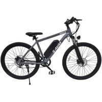 Электровелосипед AVM INTRO 29