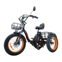 Электровелосипед Kugoo Trike 750W 48V 15.6 Ah