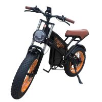 Электровелосипед Kugoo V5 750W 48V 20Ah