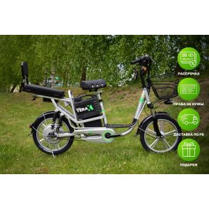 Электровелосипед Terax DNEPR NS004 (серебристый)