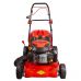 Газонокосилка бензиновая DDE LM 46-60 D