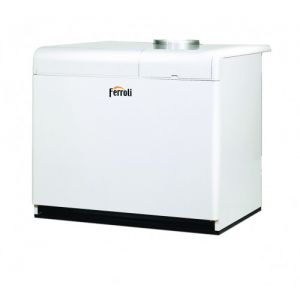 Газовый чугунный котел Ferroli PEGASUS F3 N 289 2S