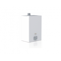 Газовый котел Ferroli Force W 100