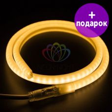 Гибкий неон в форме "D" Neon-Night теплый белый /1М