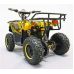 Квадроцикл GreenCamel Гоби K40 (36V 800W R6 Цепь) быстросъем