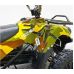 Квадроцикл GreenCamel Гоби K40 (36V 800W R6 Цепь) быстросъем