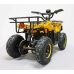 Квадроцикл GreenCamel Гоби K45 (36V 800W R6 Цепь) быстросъем, ножной тормоз