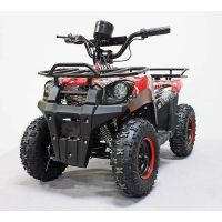 Квадроцикл GreenCamel Гоби K45 (36V 800W R6 Цепь) быстросъем, ножной тормоз красный