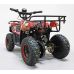 Квадроцикл GreenCamel Гоби K45 (36V 800W R6 Цепь) быстросъем, ножной тормоз красный