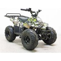 Квадроцикл GreenCamel Гоби K51 (36V 800W R7 Цепь) Зеленый