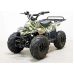 Квадроцикл GreenCamel Гоби K51 (36V 800W R7 Цепь) Зеленый