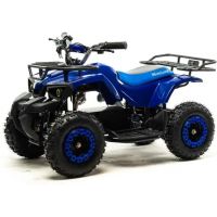 Квадроцикл (игрушка) Motoland ATV E009 1000Вт Синий