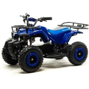 Квадроцикл (игрушка) Motoland ATV E009 1000Вт Синий