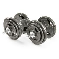 Набор гантелей с железной ручкой HAMMERTONE 2x19 кг