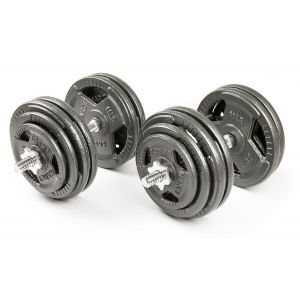 Набор гантелей с железной ручкой HAMMERTONE AS 2x29 кг