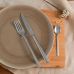 Набор столовых приборов Pinti Inox Casali 21009091 (24пр)