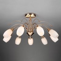 Потолочная люстра с плафонами Eurosvet 22080/9 золото