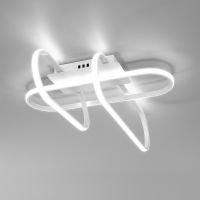 Потолочный светодиодный светильник с пультом управления Eurosvet 90139/3 белый