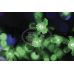 Светодиодное дерево Light-neon "Сакура" зелёный 1.5 м, Ø 1.8 м