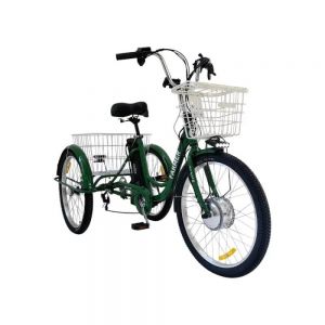 Трёхколёсный электровелосипед Smart8 Farmer зеленый
