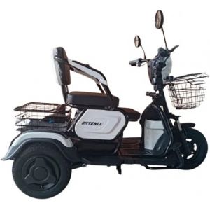 Трициклы с электродвигателем SHTENLI Model 30 SLA 12Ач48В (аккумулятор 4шт 12Ач1..